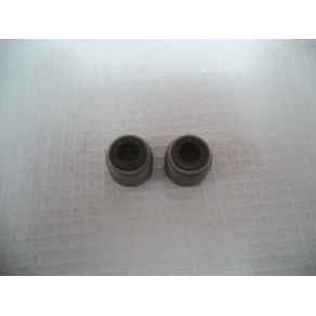 RETEN DE VALVULA (MPACK)