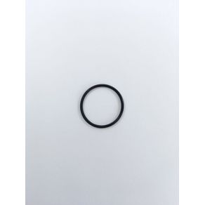 O RING