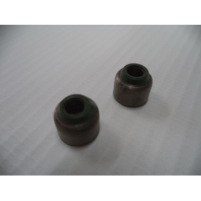 RETEN DE VALVULA (MPACK)