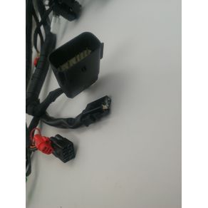 RAMAL ELECTRICO