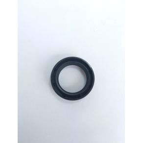 RETEN DE TELESCOPICA
