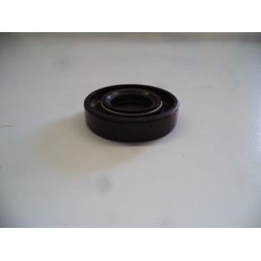 ANILLO RETEN ESPECIAL