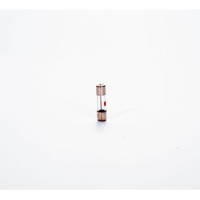 FUSIBLE 10 AMP