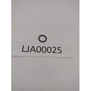 ORING PIVOT